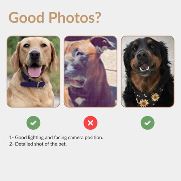 Custom Pet Portraits – Affordable, Unique, and Perfect for Pet Lovers! - Picture 11 of 12